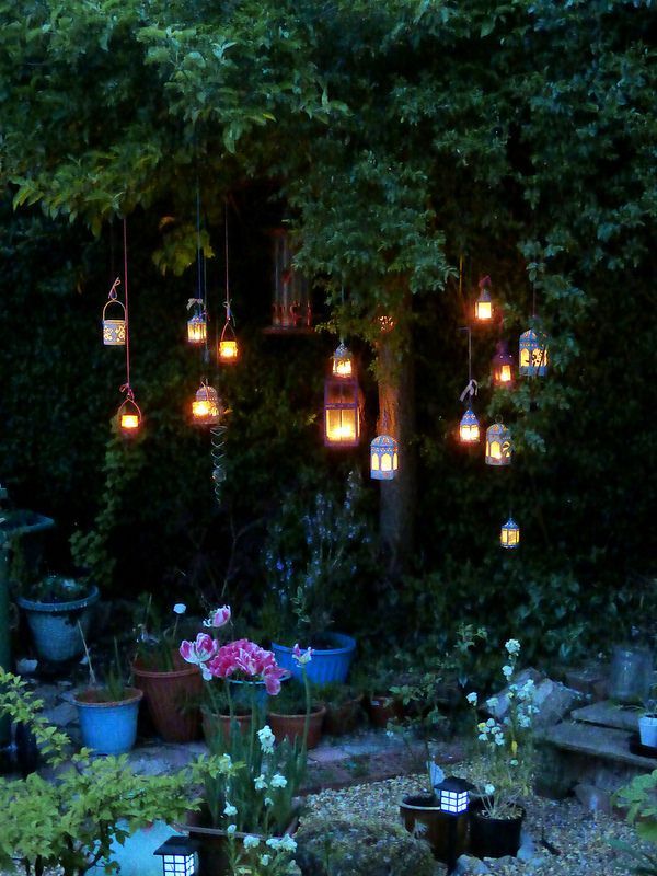 a garden with lots of plants and lights hanging from the trees