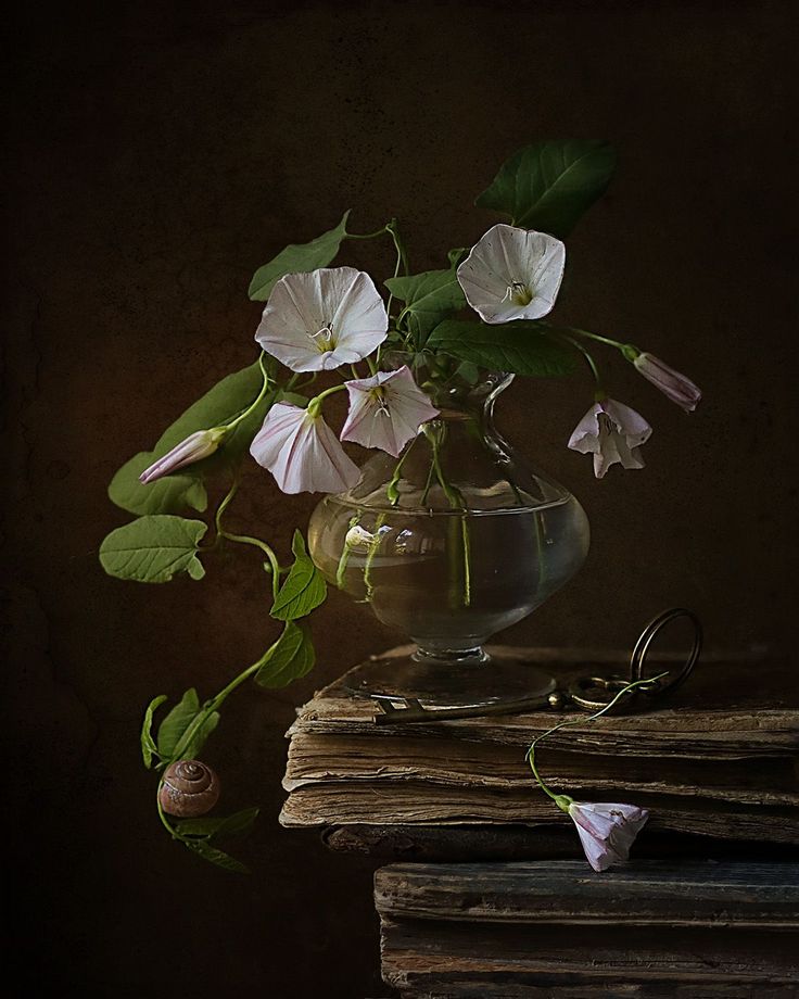 Elvish Style, Still Life References, Still Life Pictures, Paint Photography, Object Photography, Still Life Flowers, Flower Vase Arrangements, Still Life Photos, Cat Air