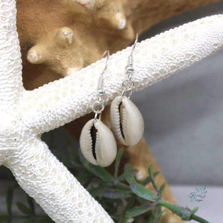 Simple, yet so beautiful for all things summer. These versitile earrings are as easy breezy as your beach days. incredibly lightweight, but still make a huge statement. Wear your cowrie shell earrings with anything from a classy dress to a comfortable t-shirt and shorts.  Perfect gift for anyone who loves the ocean!  Please note that natural shells are beautifully unique, which sets them apart from mass-produced materials. This means that shell size and color may vary from one another. All our s Summer Beach Strand Jewelry, Bohemian Dangle Earrings For Beach, Summer Beach Shell Jewelry, Coastal Style Jewelry For Summer Beach Parties, White Summer Beach Jewelry, Coastal Style Jewelry For Beach Parties In Summer, Summer Vacation Beach Jewelry, Handmade Beachy Earrings For Summer, Summer Gift Shell-shaped Earrings