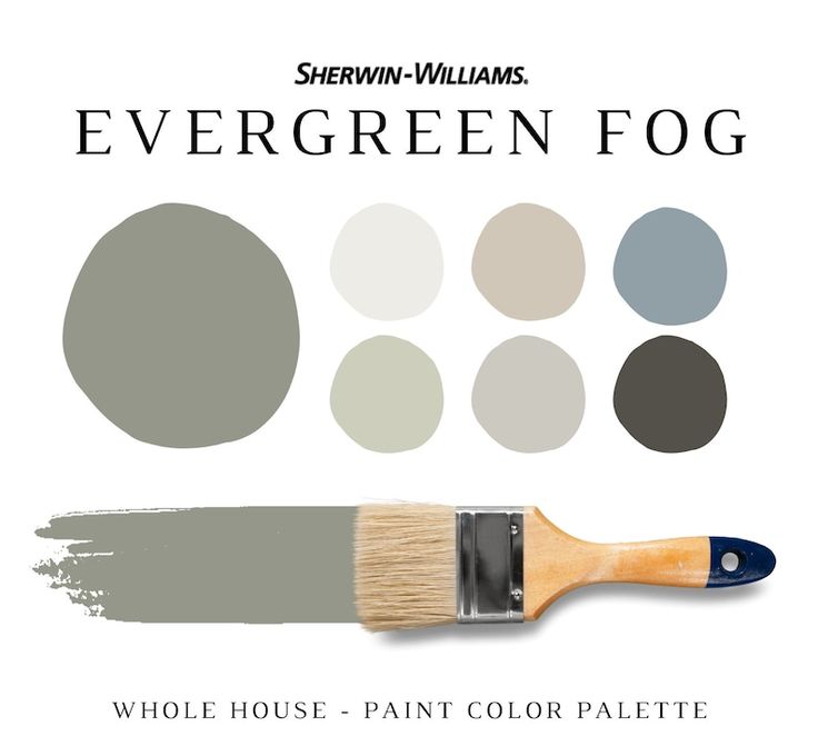 a paint brush with the words, sherylin williams's rainwashed whole house - paint color palette