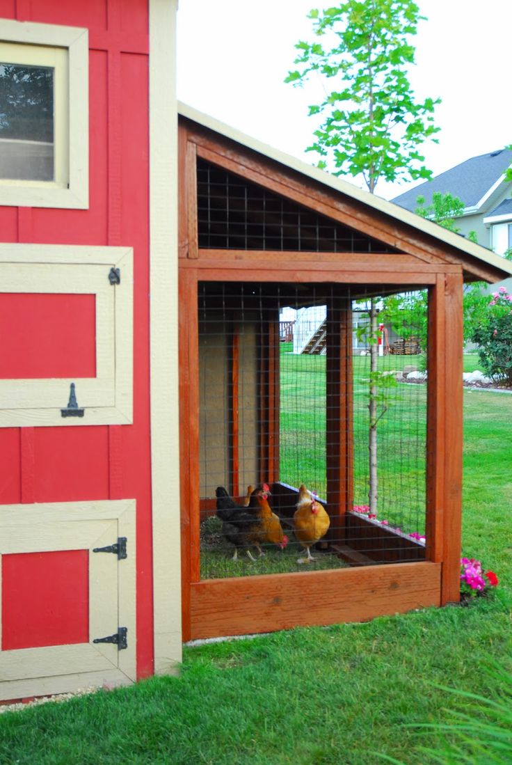 three chickens in a red and white chicken coop on the grass near a building with a door