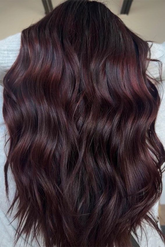 Dark Hair Color Ideas Red Tint, Cherry Coke Red Hair Color Balayage, Raspberry Brunette Hair, Dark Hair Coloring Ideas, Cola Red Hair Highlights, Dark Brown Maroon Hair, Hair Colour Red Brown, Dark Red Chocolate Hair, Shades Eq Cherry Cola