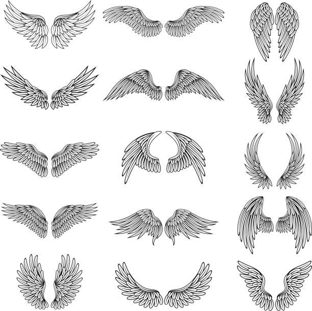 the wings of different shapes and sizes on a white background vector epstng set