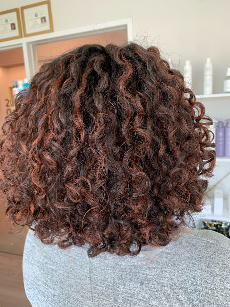 Photo of the back of a head. Shoulder length curly hair with copper highlights on dark brown hair. Auburn Copper Highlights In Brown Hair, Cowgirl Copper On Curly Hair, Mini Highlights Curly Hair, Red Copper Hair Color Curly, Copper Highlights On Black Hair Curly, Burgundy Curly Hair Highlights, Cowboy Copper On Curly Hair, Curly Hair With Copper Highlights, Auburn Copper Highlights