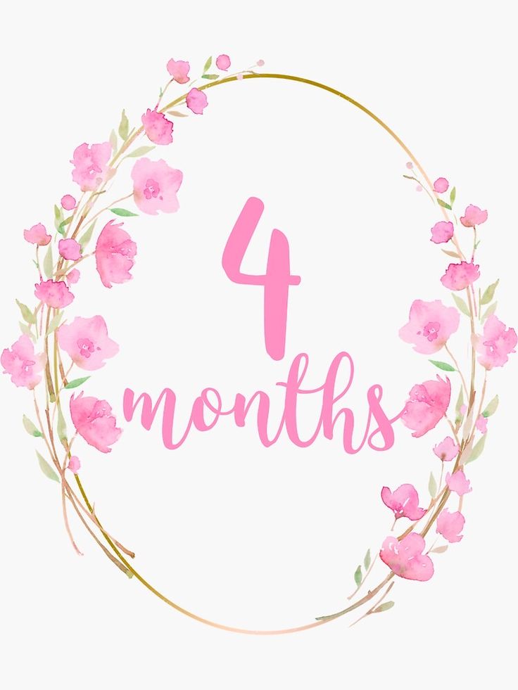 the number four months with pink flowers and leaves in a circle on a white background