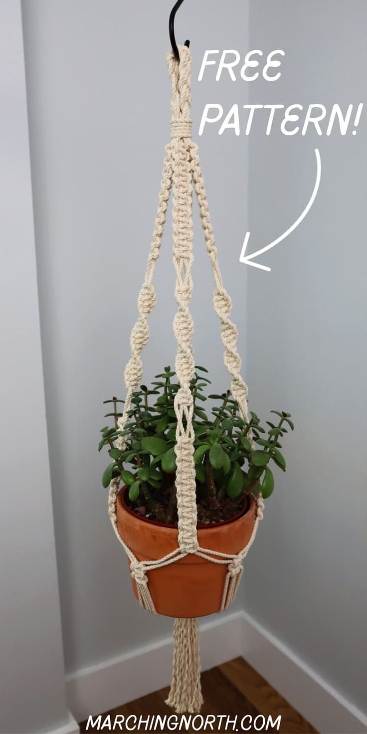 a potted plant hanging from a macrame rope with the words free pattern above it