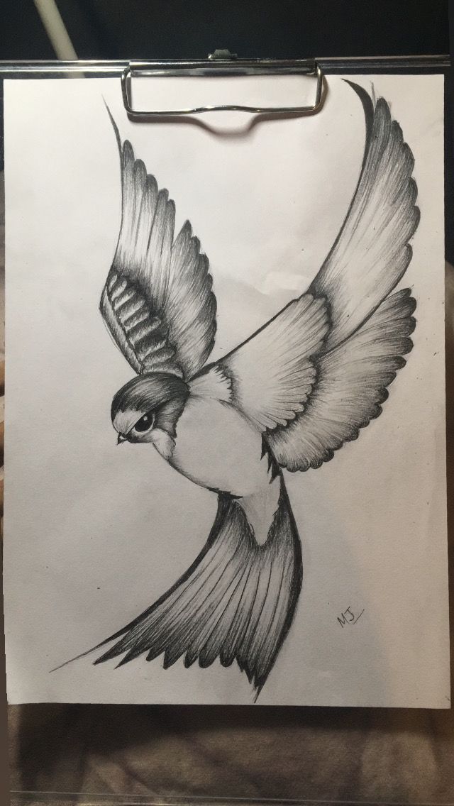 a drawing of a bird flying in the air