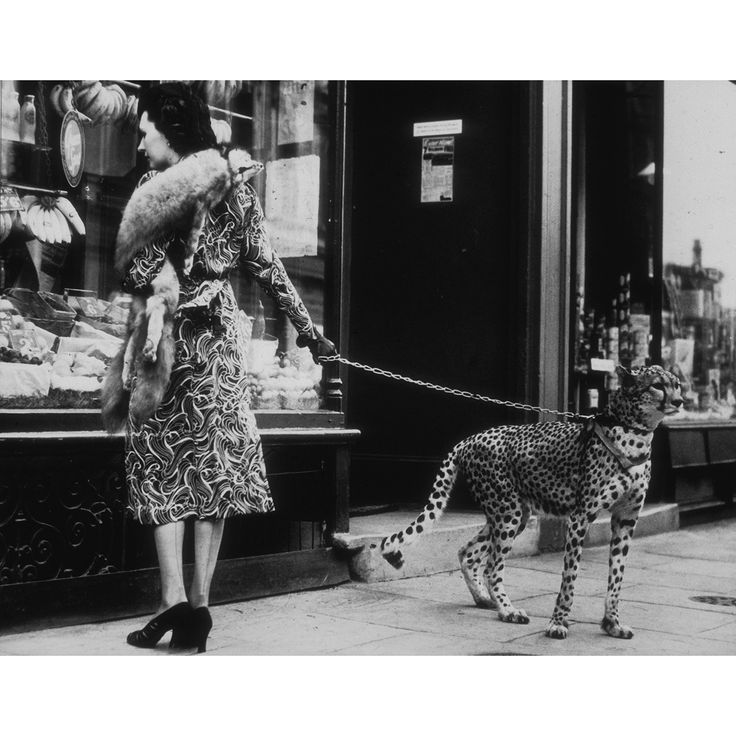 a woman walking a cheetah on a leash in front of a store window