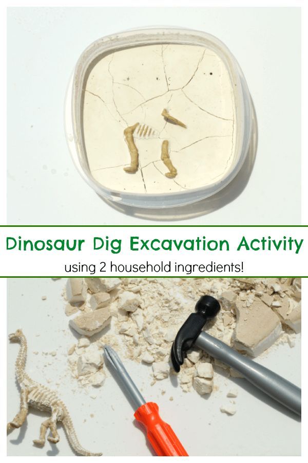 the dinosaur dig excavation with two household ingredients is shown in front of an image of dinosaurs and tools