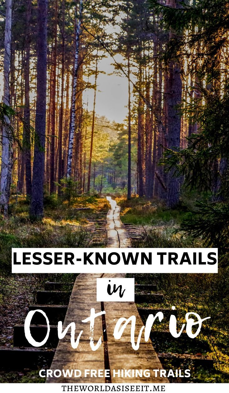 a wooden walkway in the middle of a forest with text overlay that reads lesser - known trails in ontario