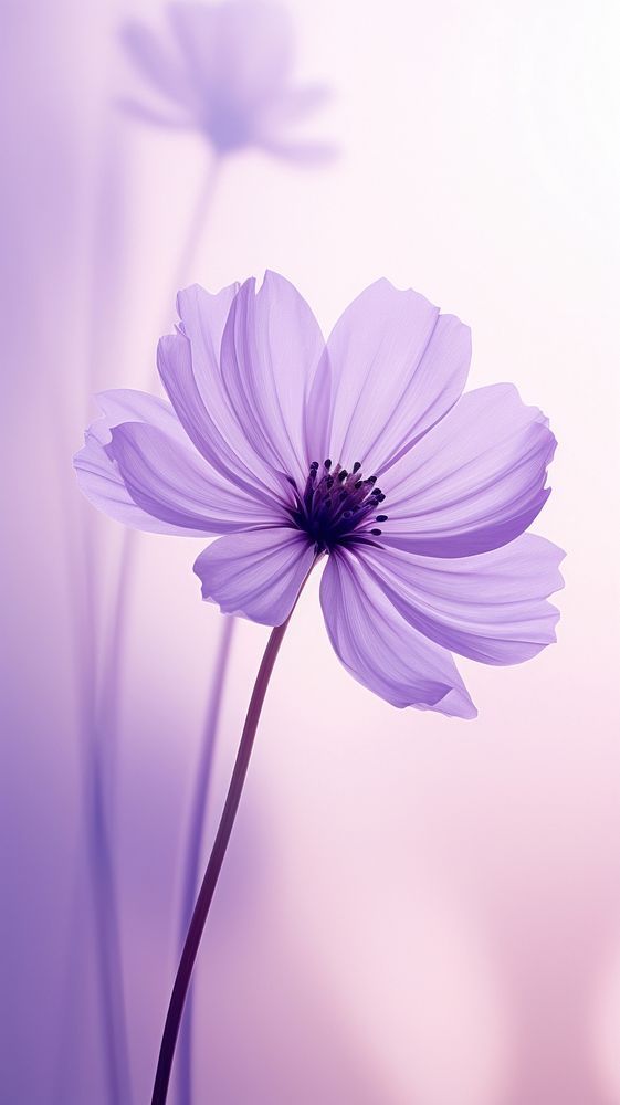 a purple flower is shown in the foreground