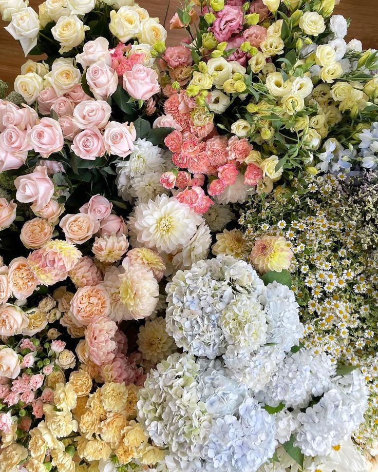 a bunch of flowers that are laying on the ground in front of each other, all different colors and sizes