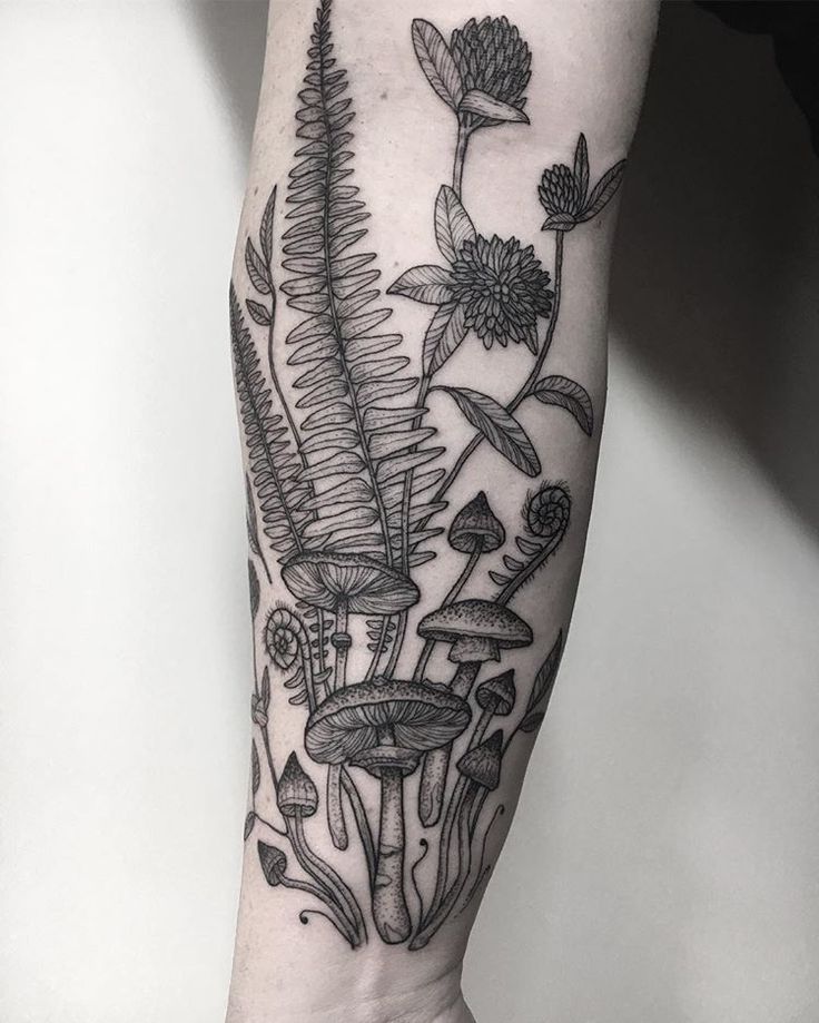 a black and white photo of a plant on the arm, with mushrooms in it