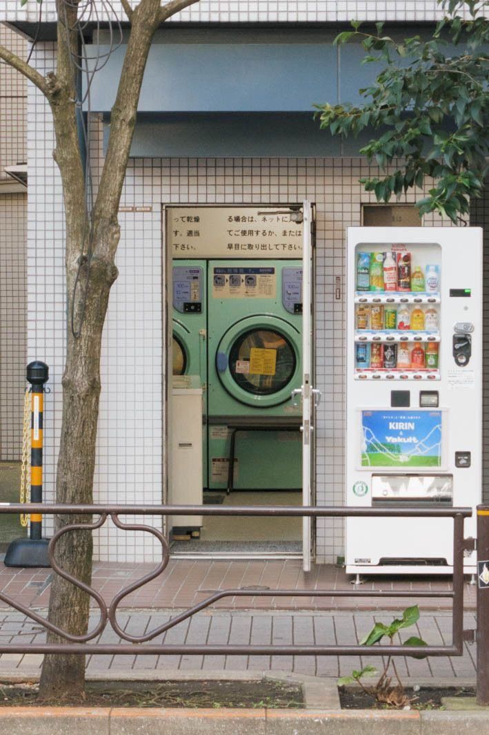 a bench sitting next to a tree in front of a washer and dryer