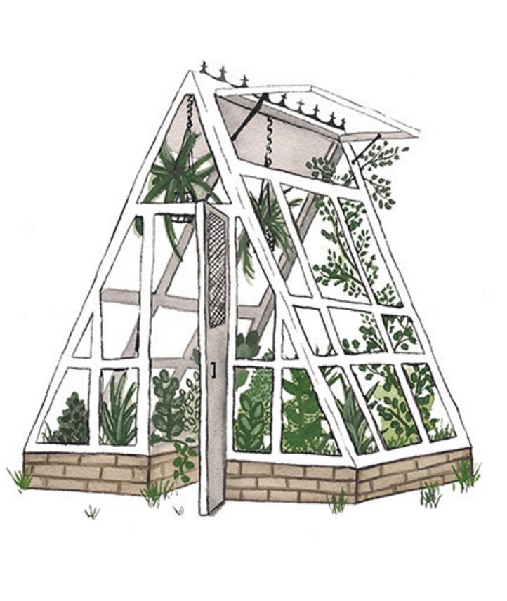 an illustrated drawing of a greenhouse with plants growing inside the roof and on the side