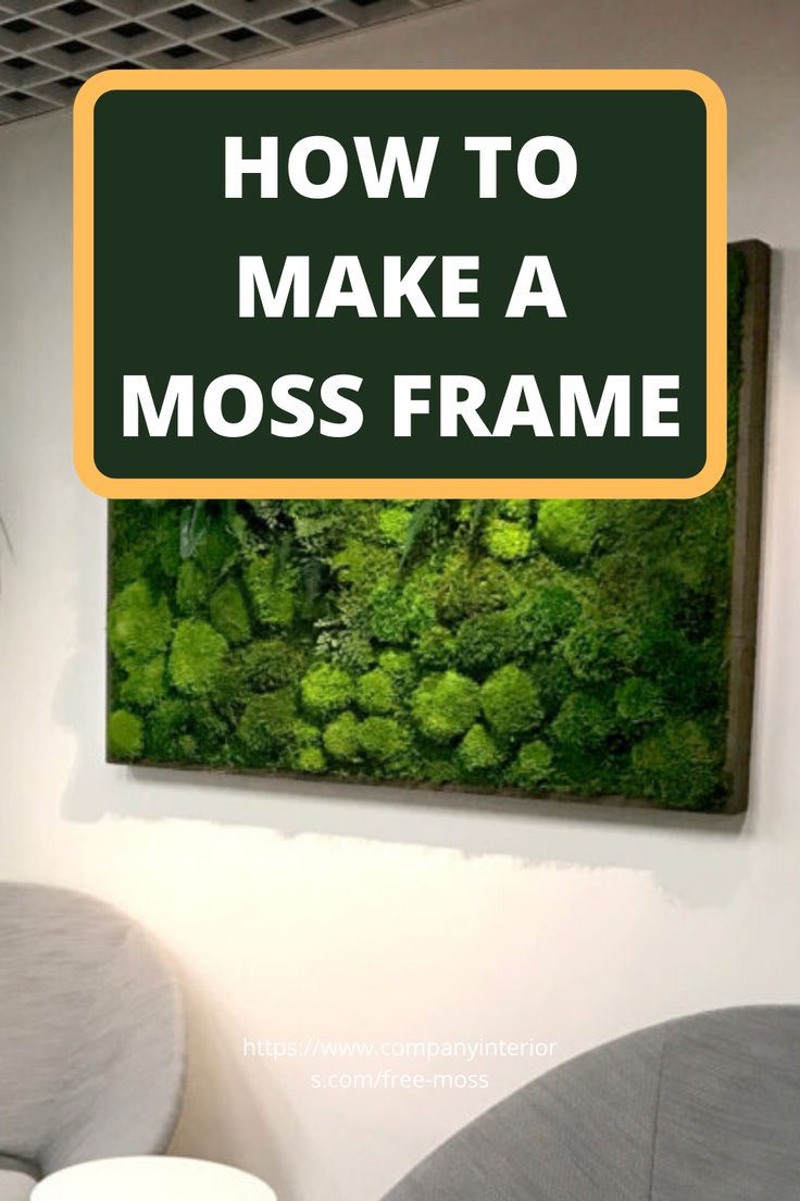 a moss frame hanging on the wall in a living room with text overlay that reads how to make a moss frame