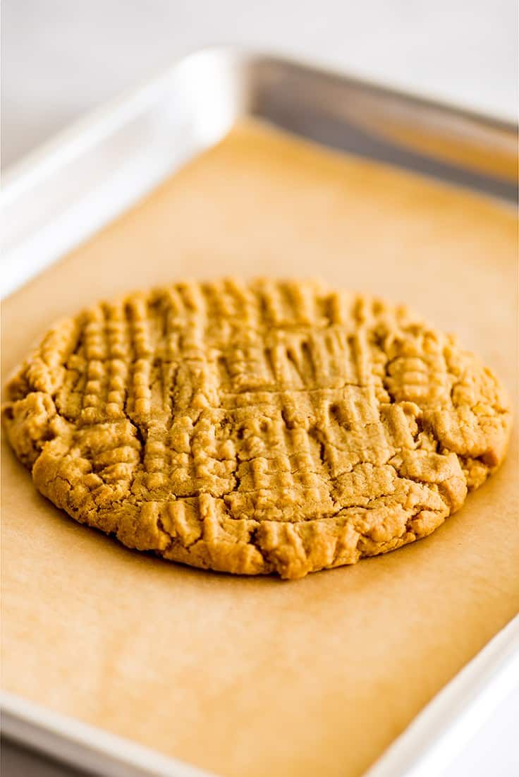 one giant peanut butter cookie sitting on top of a piece of parchment paper with the words, one giant peanut butter cookie