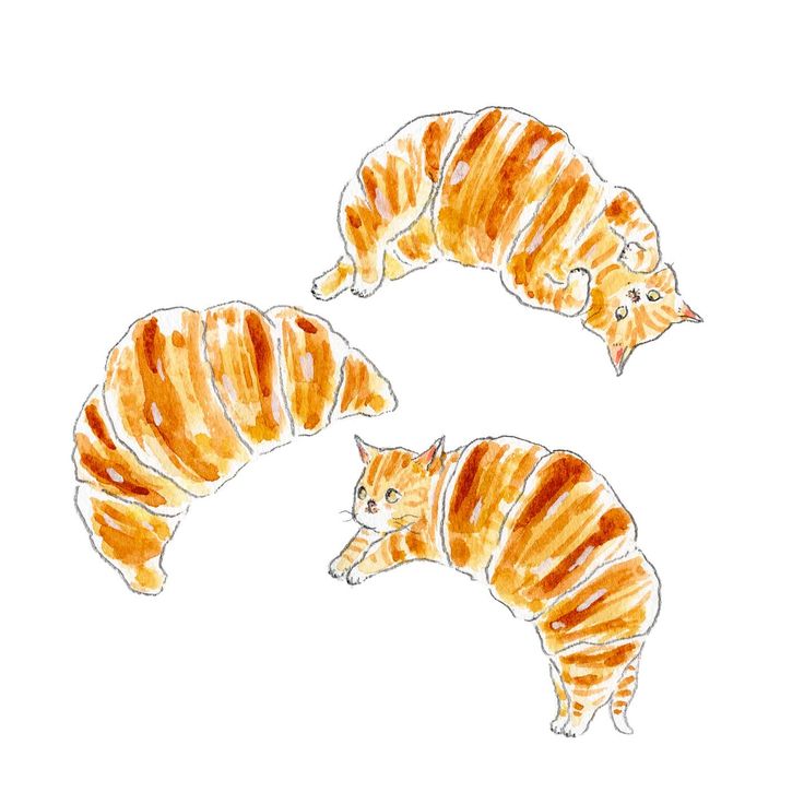 two orange cats laying on top of each other in the shape of an oatmeal