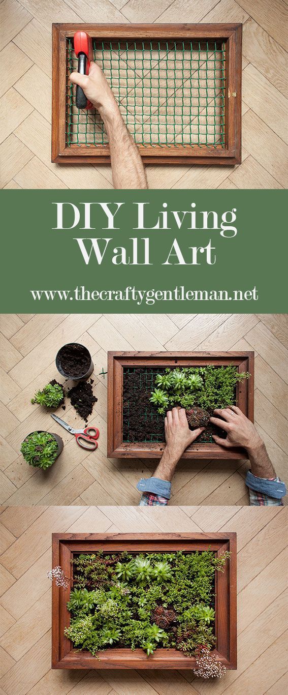 the diy living wall art is an easy way to make it look like you're