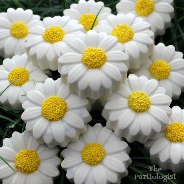 white and yellow daisies are in the grass with one flower on it's center