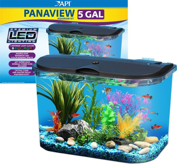 an aquarium with two different types of fish in it and the box is open to show what's inside