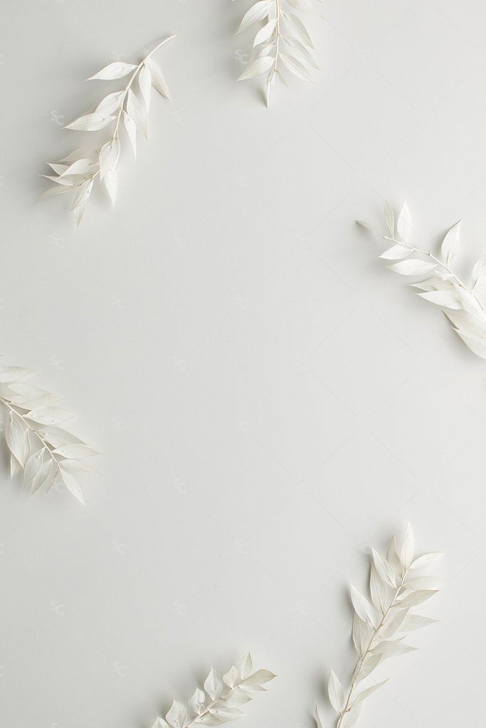 white paper leaves arranged in the shape of a circle on a white surface with space for text