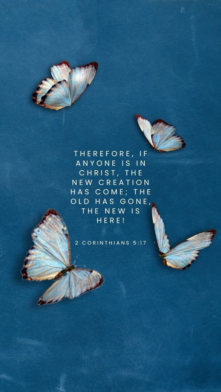 three butterflies flying in the air with a bible verse on it's back ground