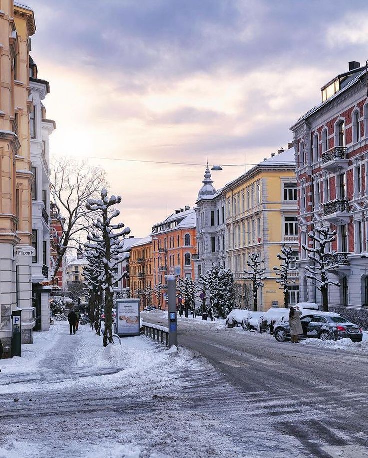 a snowy street lined with buildings and trees