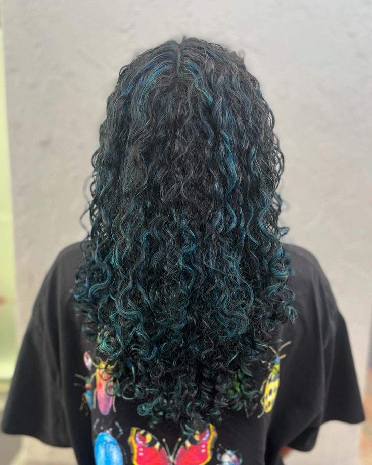 Blue curly highlights and a reshaping💙🌀 Swipe for the before—> • • • • • • • #curls #curlscurlscurls #curlyhair #curlygirls #curlystylist #curlystyling #hairstylist #hair #naturalhair #hairdye #color #dye #highlights #bouncyhair #flow #transformation #dimension #blue #bluehair Curly Blue Highlights, Blue Highlights Curly Hair, Dark Blue Curly Hair, Hair Blue Highlights, Blue Curly Hair, Dye Highlights, Curly Styling, Curly Highlights, Highlights Curly