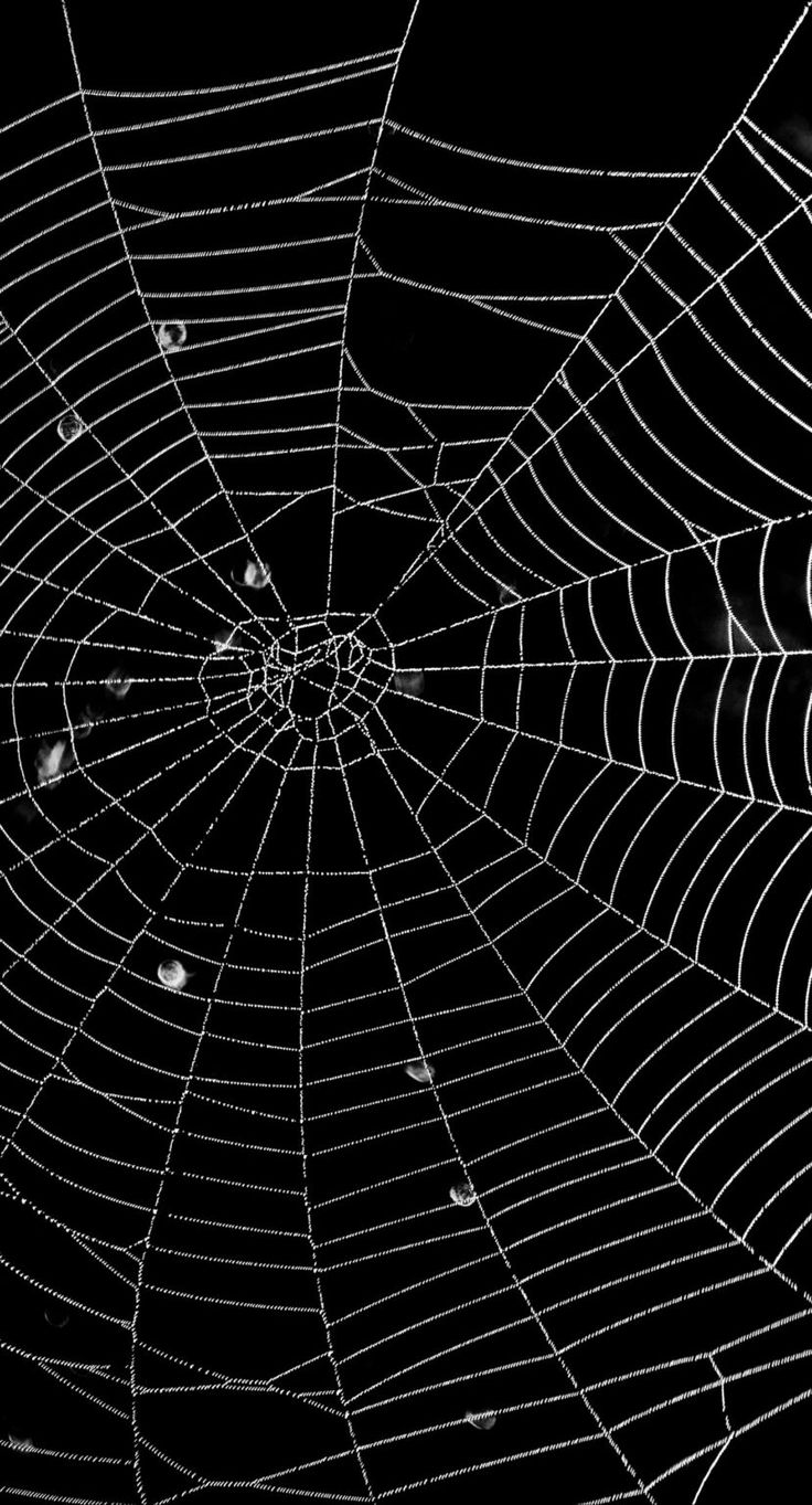 a spider web with drops of water in it's center, on a black background