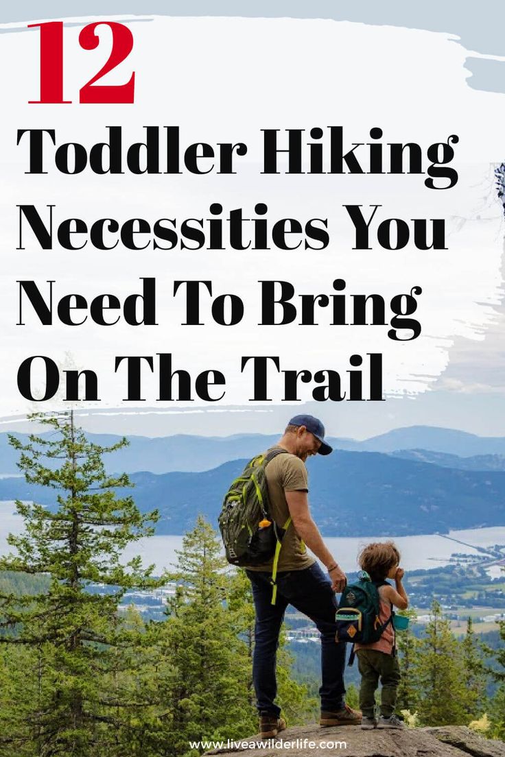 a father and son hiking together with the text 12 toddler hiking necessities you need to bring on the trail