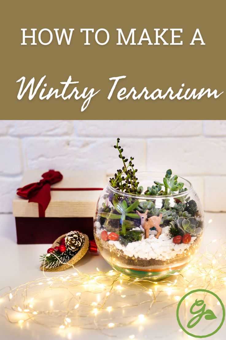 a glass bowl filled with plants and rocks on top of a table next to a present box