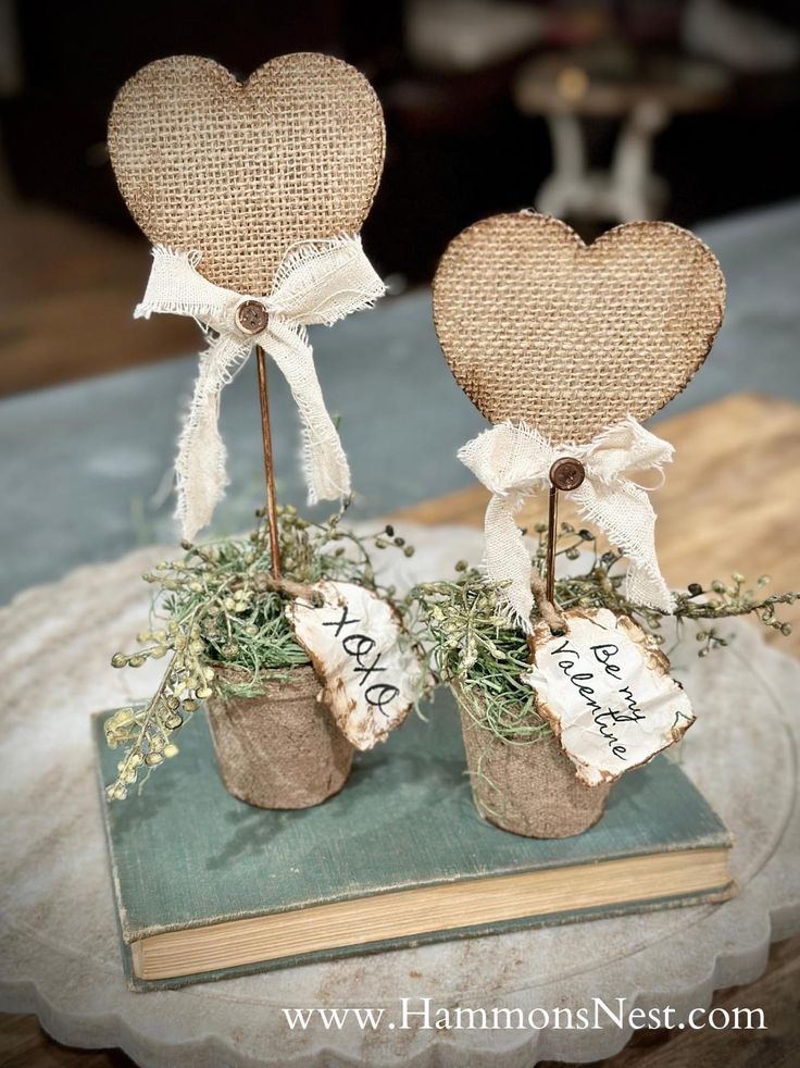 two small pots filled with plants on top of a book