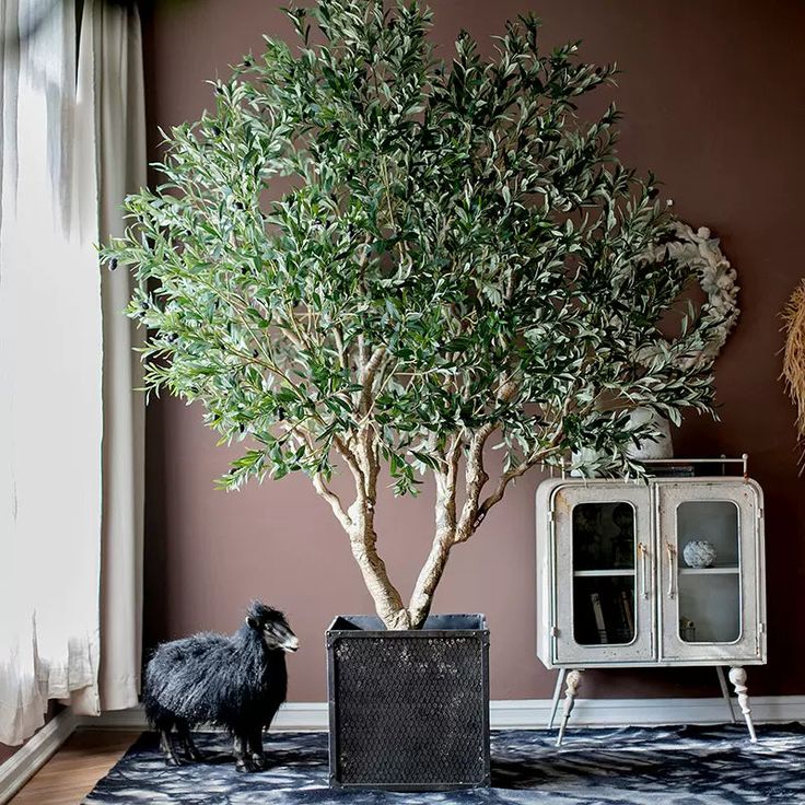 a small tree in a living room next to a window