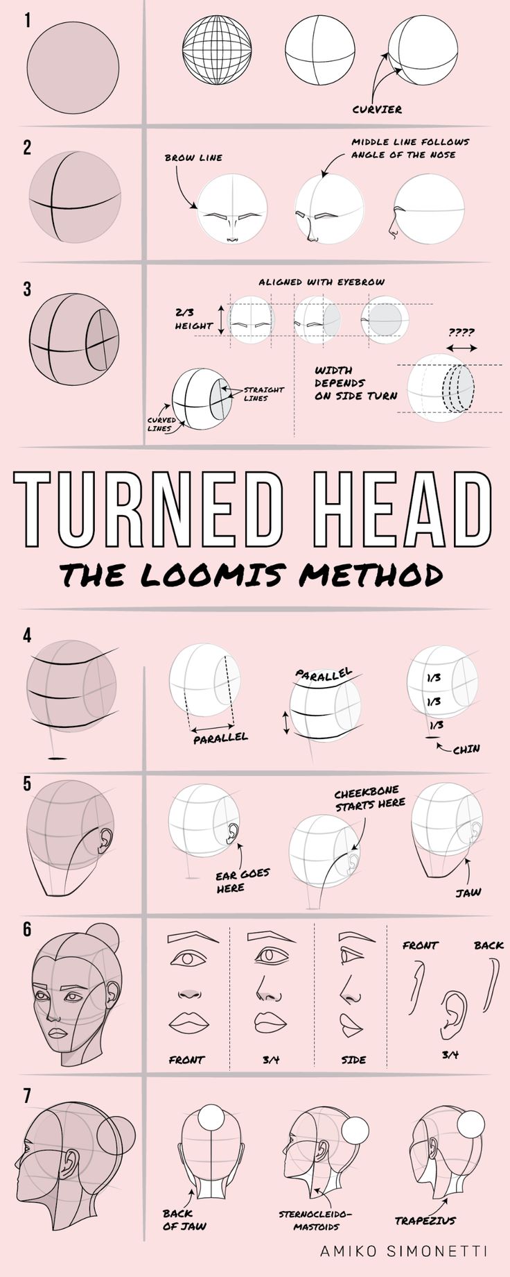 an info sheet showing how to draw the head and neck in three different ways, including lines