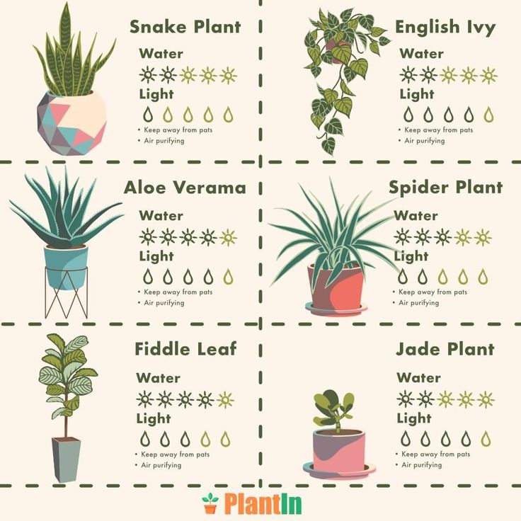 a poster with different types of plants in pots