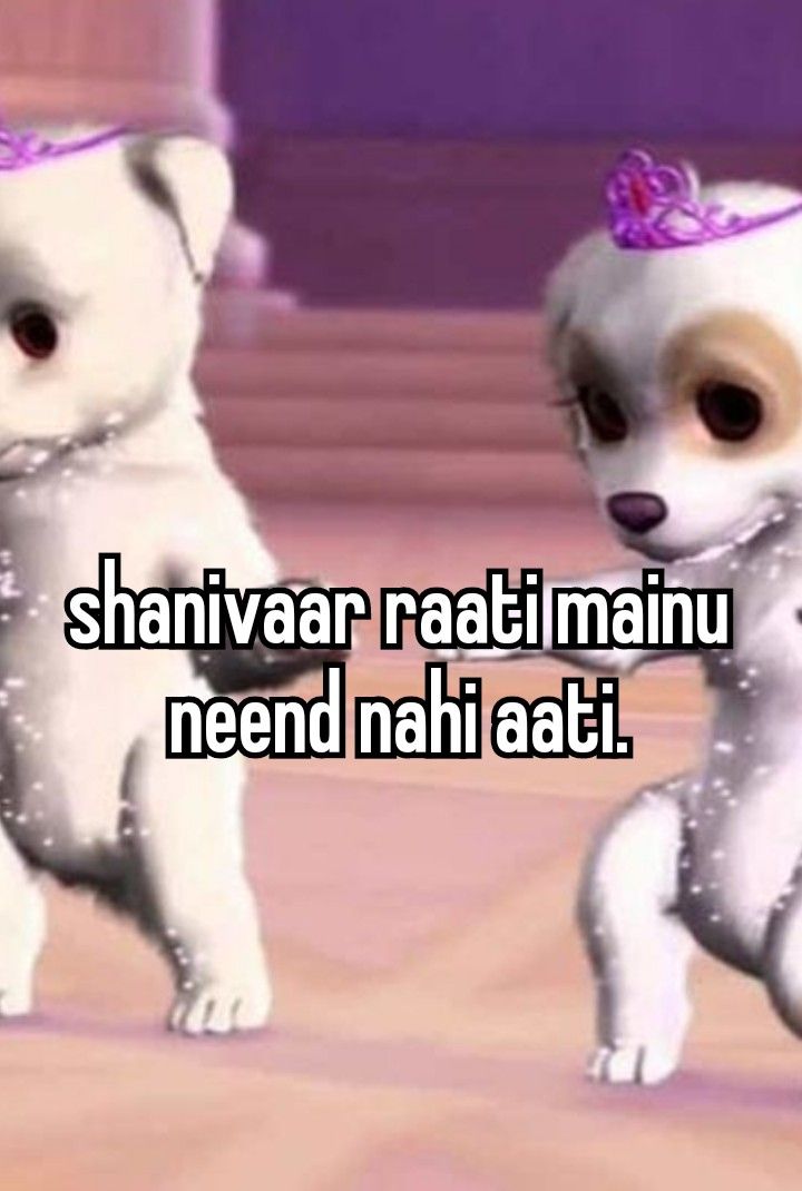 two white dogs standing next to each other on a wooden floor with the caption us? magar bha mai to india me reht - hu