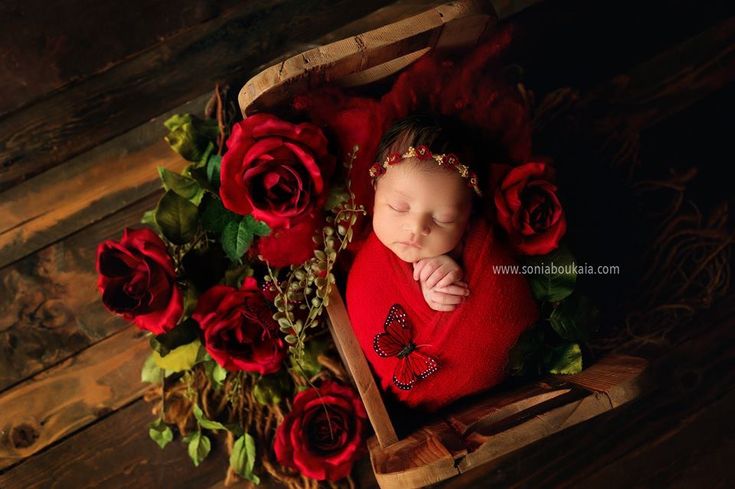 a baby is sleeping in a basket with red roses