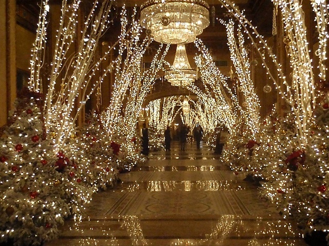 the hallway is decorated with christmas lights and trees