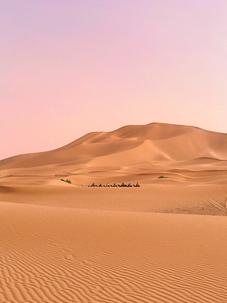 people are riding camels in the desert with sand dunes and mountains behind them at sunset