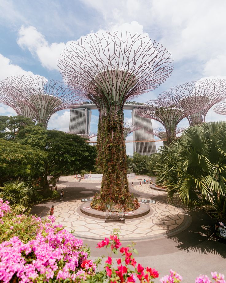 the gardens by the bay in singapore are full of beautiful flowers and trees, as well as some people walking around