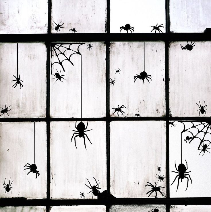 several spider webs are hanging from the glass in front of a window with white walls