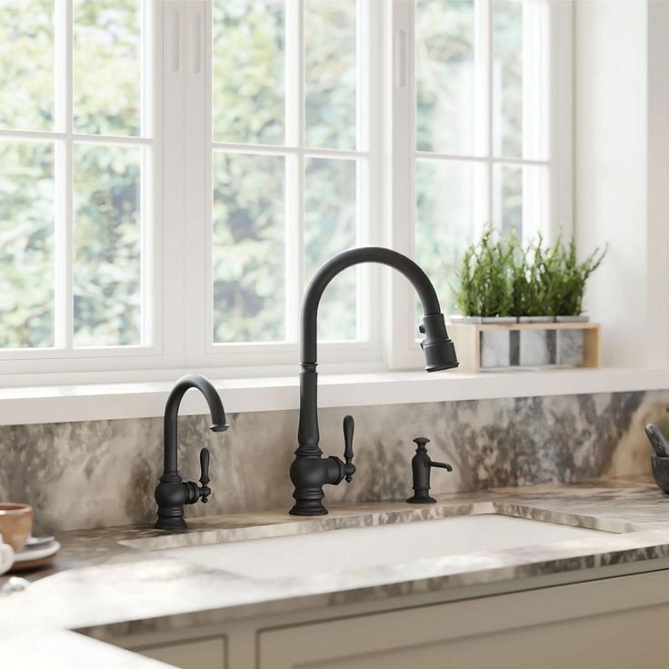 a kitchen sink with two faucets and a potted plant on the window sill