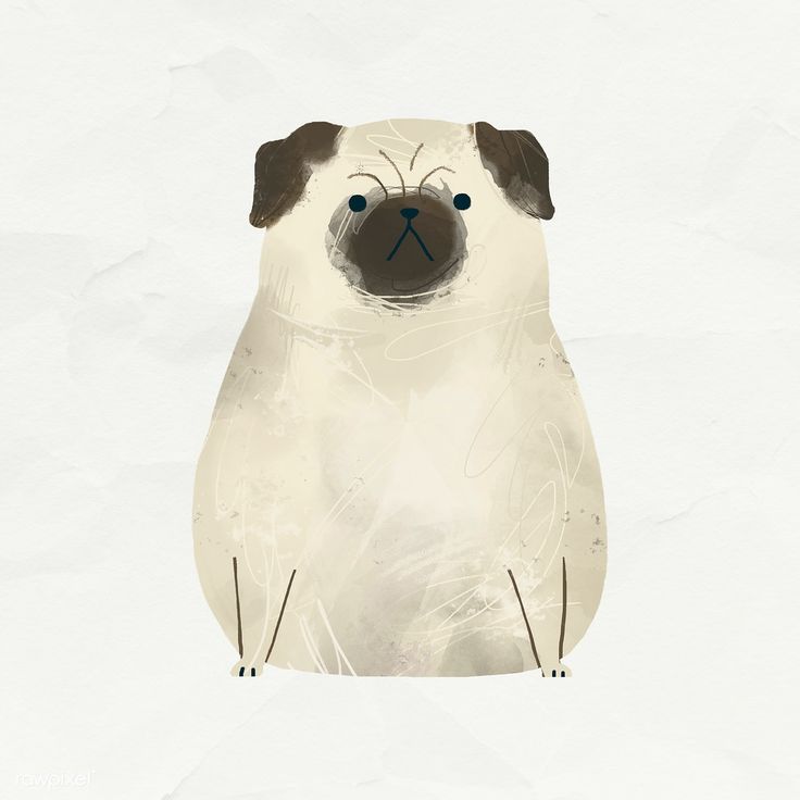 a drawing of a pug dog with blue eyes and brown ears, sitting in front of a white background