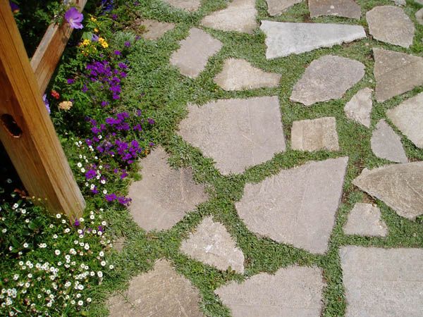 a stone path with purple flowers in the background