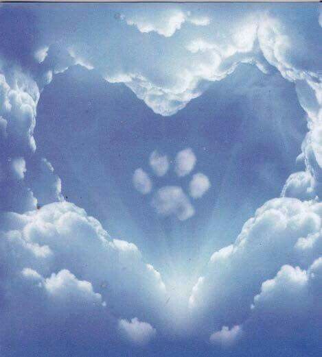 the sky is filled with white clouds and there are hearts shaped in the shape of an animal's head