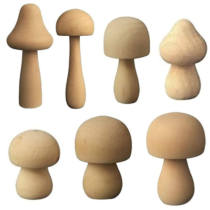 several different types of mushrooms on a white background