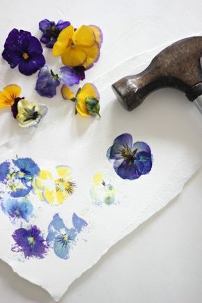 some flowers and a hammer on a piece of paper