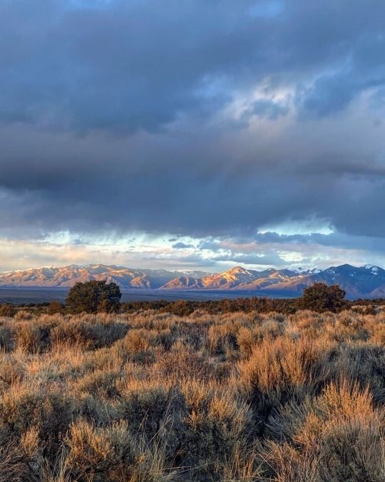 an empty field with mountains in the background