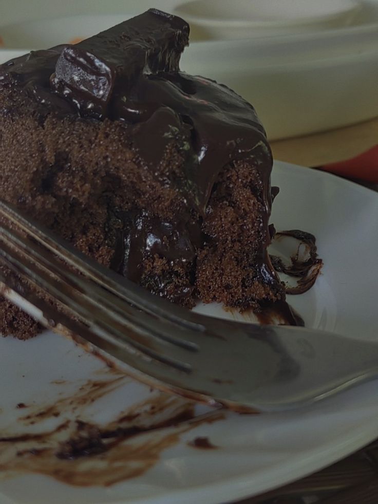 a piece of chocolate cake on a plate with a fork